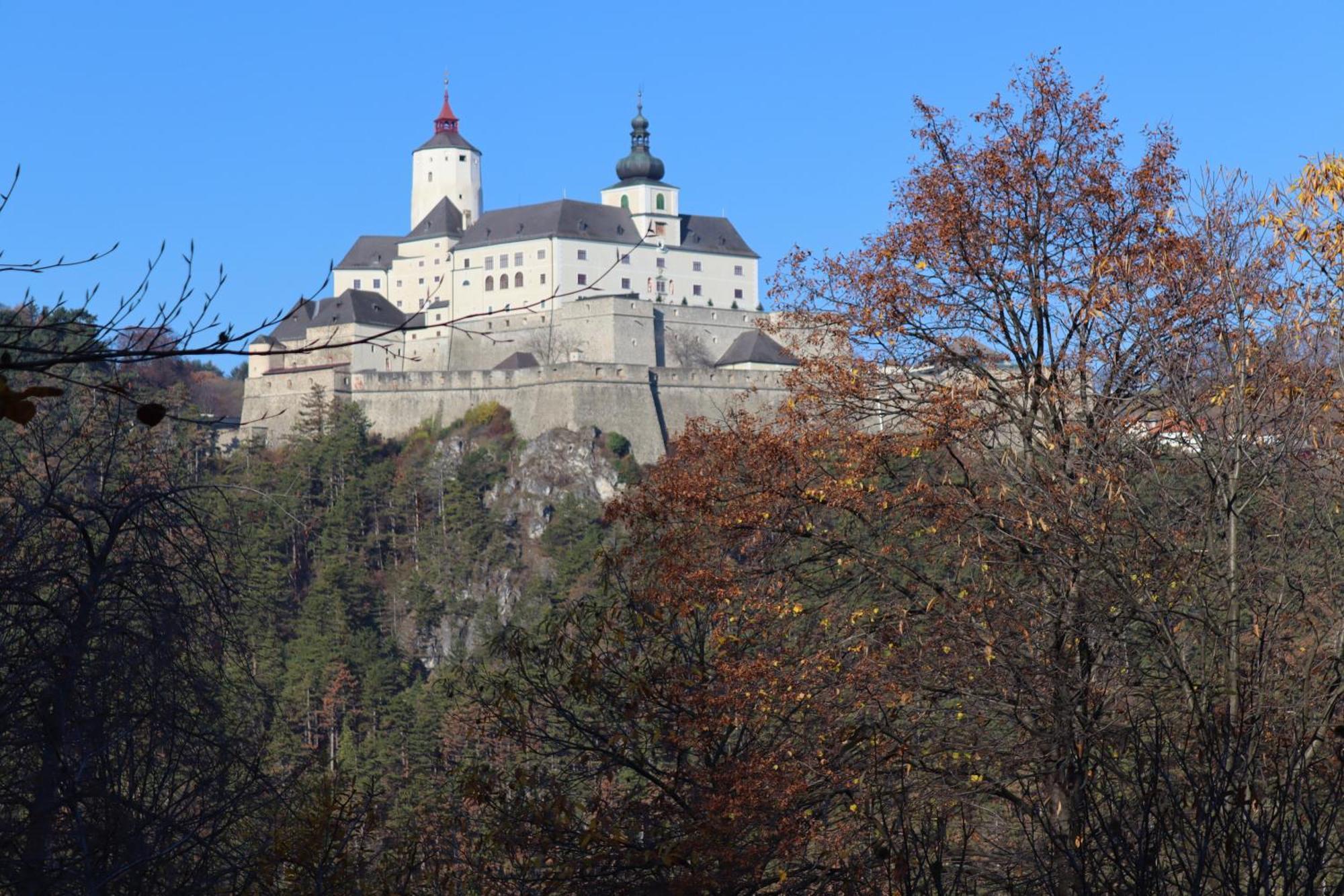 Appartement Rosalia Forchtenstein Exterior photo