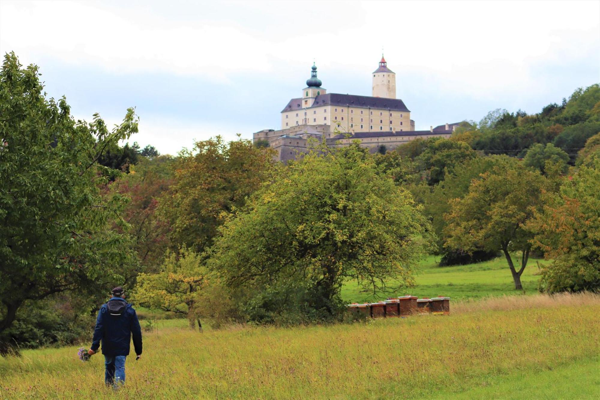 Appartement Rosalia Forchtenstein Exterior photo